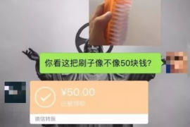 昭通融资清欠服务